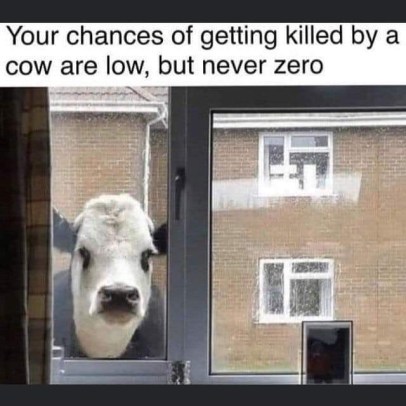 fb_img_1584037898581