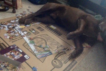 Photo on 3-21-20 at 11.51 AM